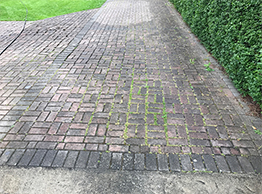 Driveway before cleaning